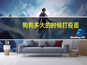 狗狗多大的时候打疫苗