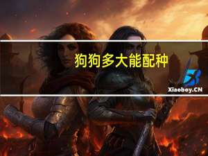狗狗多大能配种