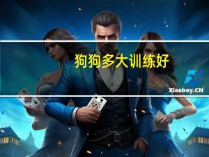 狗狗多大训练好