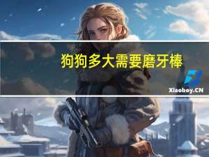 狗狗多大需要磨牙棒