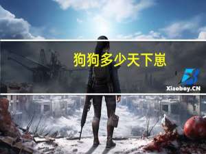 狗狗多少天下崽