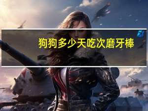 狗狗多少天吃次磨牙棒