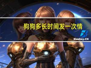 狗狗多长时间发一次情