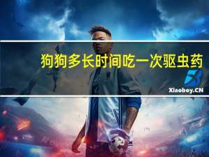 狗狗多长时间吃一次驱虫药