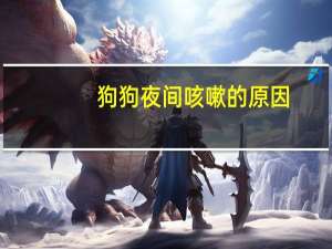 狗狗夜间咳嗽的原因
