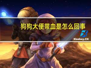 狗狗大便带血是怎么回事