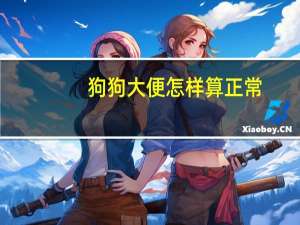 狗狗大便怎样算正常