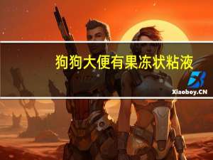 狗狗大便有果冻状粘液