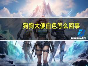 狗狗大便白色怎么回事