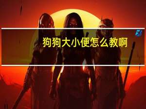 狗狗大小便怎么教啊