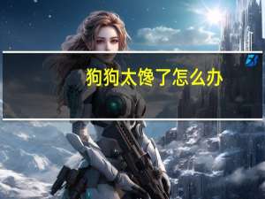 狗狗太馋了怎么办