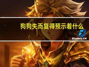 狗狗失而复得预示着什么