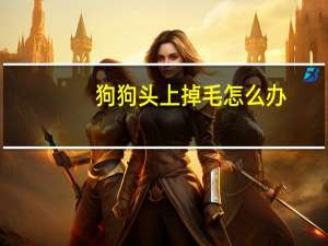 狗狗头上掉毛怎么办