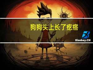 狗狗头上长了疙瘩