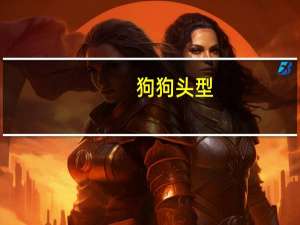狗狗头型