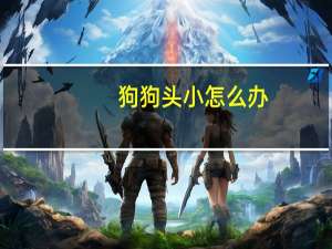 狗狗头小怎么办