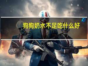 狗狗奶水不足吃什么好