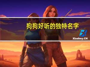 狗狗好听的独特名字