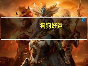 狗狗好运