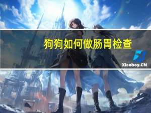 狗狗如何做肠胃检查