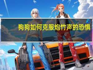 狗狗如何克服炮竹声的恐惧