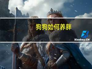 狗狗如何养胖