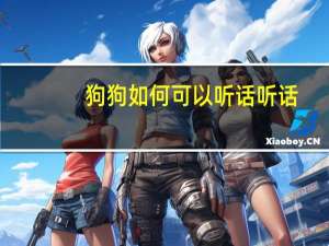 狗狗如何可以听话听话