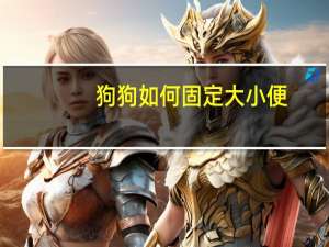 狗狗如何固定大小便