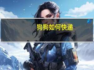 狗狗如何快递