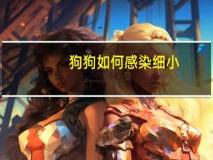 狗狗如何感染细小