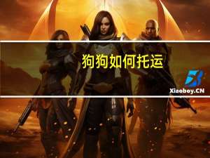 狗狗如何托运