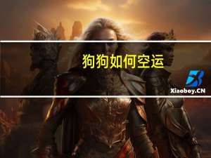 狗狗如何空运