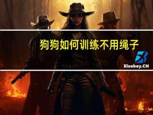 狗狗如何训练不用绳子