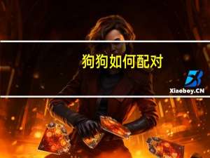 狗狗如何配对