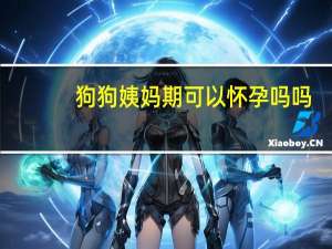 狗狗姨妈期可以怀孕吗吗