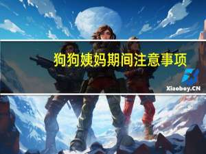 狗狗姨妈期间注意事项