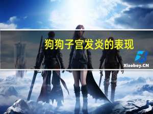 狗狗子宫发炎的表现