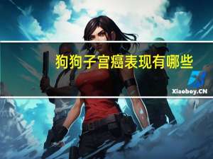 狗狗子宫癌表现有哪些