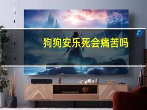 狗狗安乐死会痛苦吗