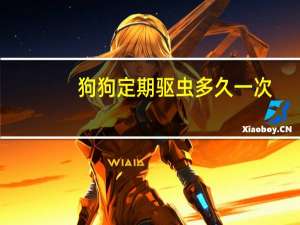 狗狗定期驱虫多久一次