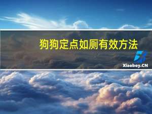 狗狗定点如厕有效方法