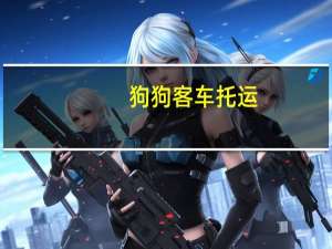 狗狗客车托运
