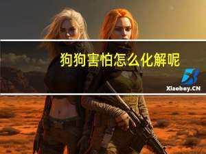 狗狗害怕怎么化解呢