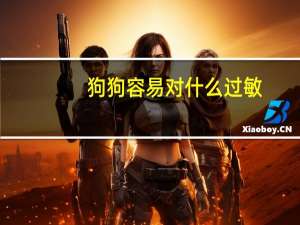 狗狗容易对什么过敏