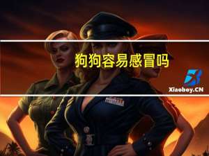 狗狗容易感冒吗