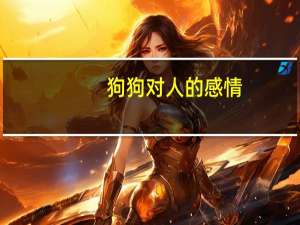 狗狗对人的感情
