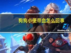 狗狗小便带血怎么回事