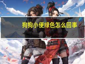 狗狗小便绿色怎么回事