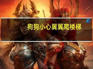 狗狗小心翼翼爬楼梯