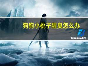 狗狗小桃子腥臭怎么办